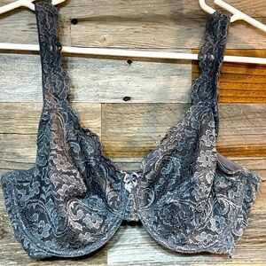 Beautiful Silvery Sheer Lace Bra